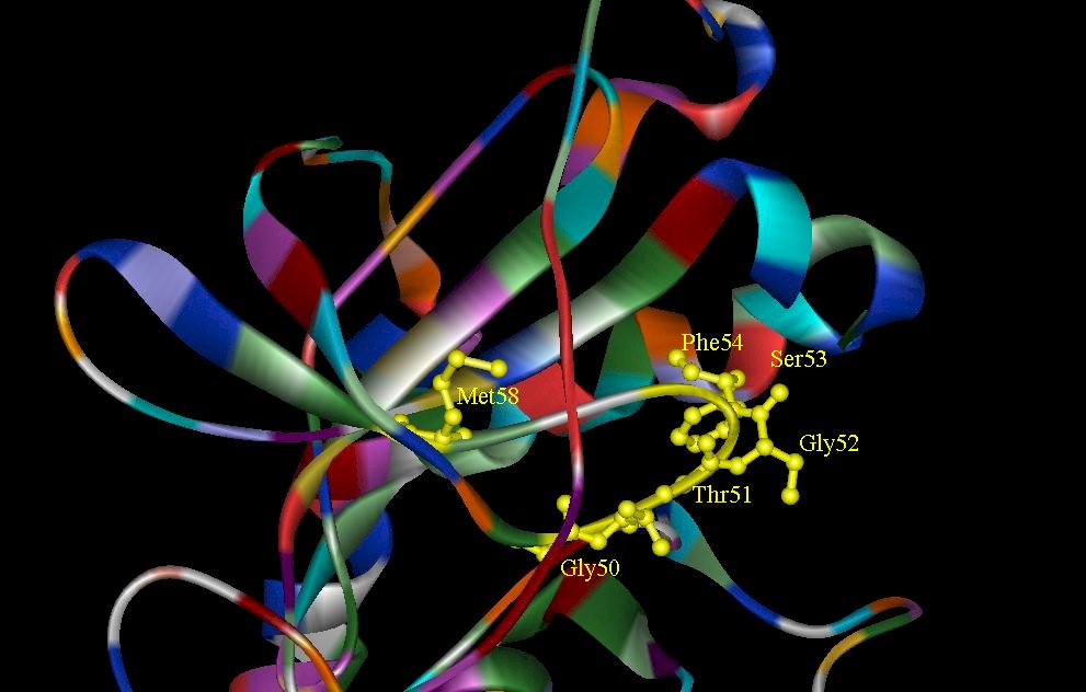 cAMP-9.jpg (84262 bytes)