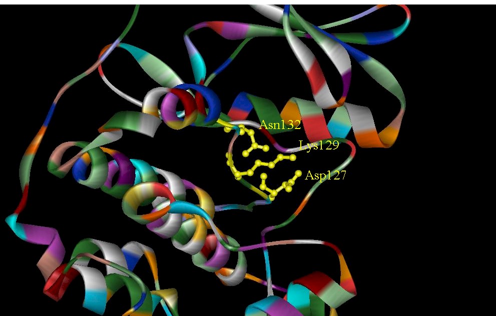 cdk2-3.jpg (100439 bytes)