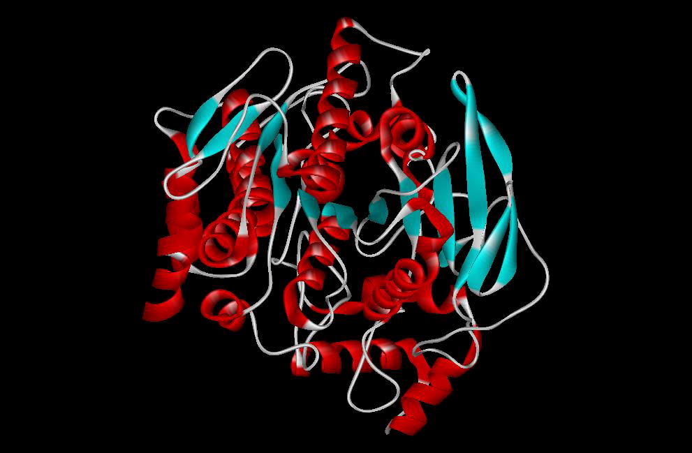 Basic enzyme