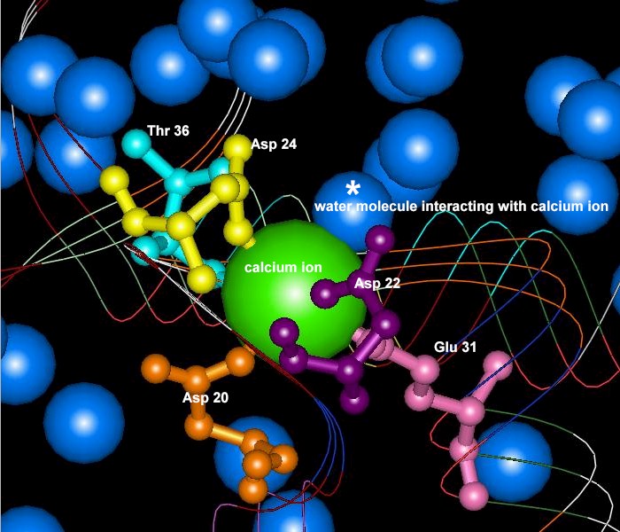 Source and Function