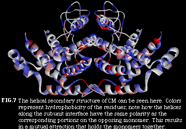 Commiphoric Structure Welcome to GoLive CyberStudio 3